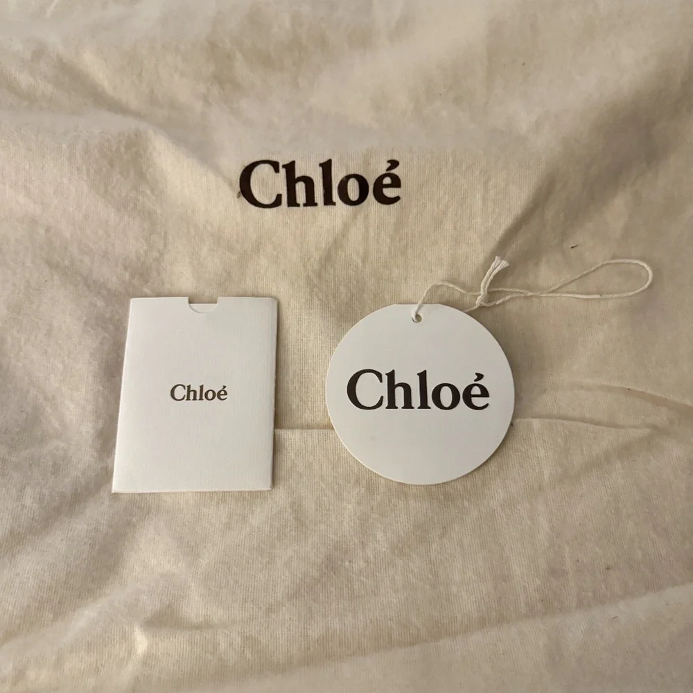 Chol'e Paddington Hobo Satchel